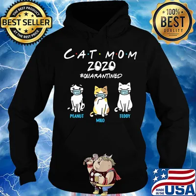 cat mom 2020 mask quarantined peanut milo teddy s Hoodie