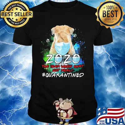 Dog 2020 the year when shit got real #quarantined mask shirt