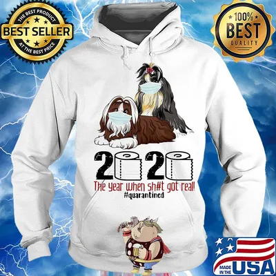 Dogs Mask 2020 the year when shit got real quarantined s Hoodie