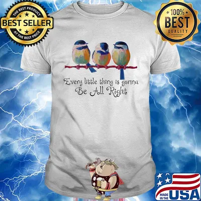 Every little thing is gonna be alright birth shirt