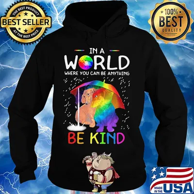 LGBT in world where you can be anything be kind dachshund rain s Hoodie