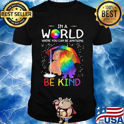 LGBT in world where you can be anything be kind dachshund rain shirt