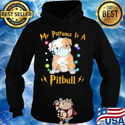 My patronus is a Pitbull mask s Hoodie