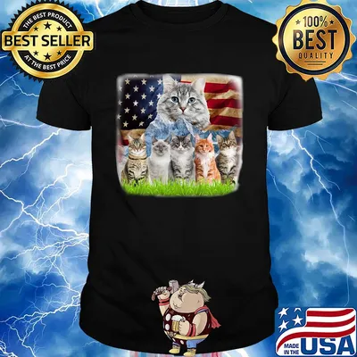 Official cats mountain american flag shirt