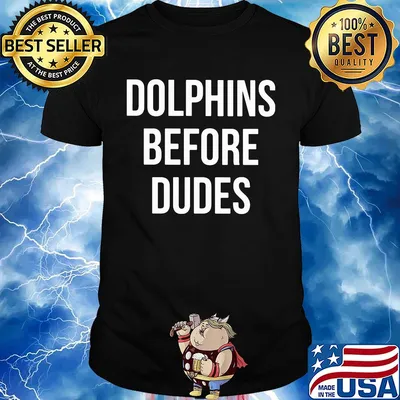 Official Dolphins before dudes shirt
