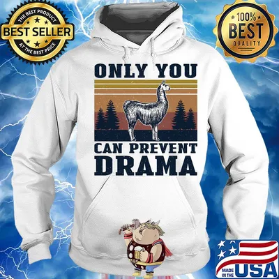 Only you can prevent drama vintage s Hoodie