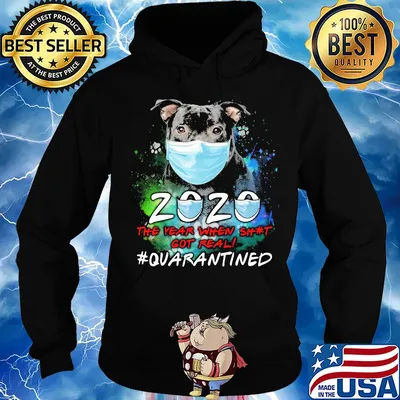 Pitbull 2020 the year when got real #quarantined s Hoodie