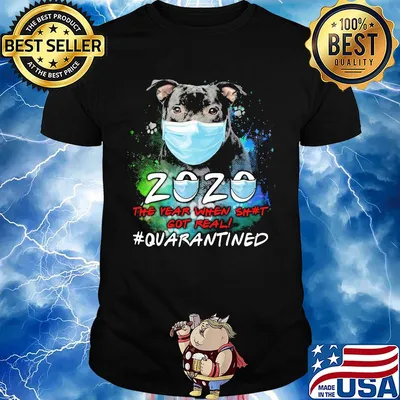 Pitbull 2020 the year when got real #quarantined shirt