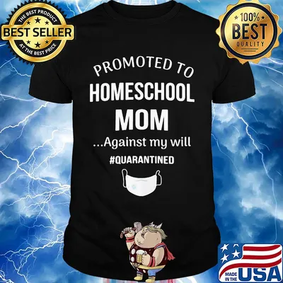 Promoted to homeschool mom against my will quarantined mask shirt