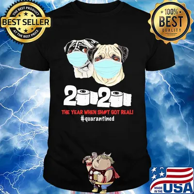 Pug dogs mask face 2020 toilet paper the year when shit got real quarantined shirt