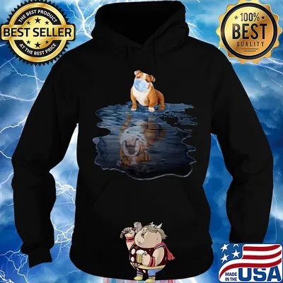Pug dogs mask mirror water s Hoodie