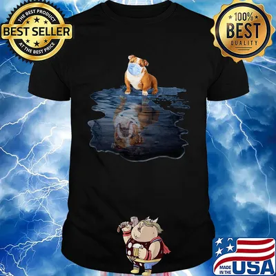 Pug dogs mask mirror water shirt