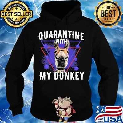 Quarantine with my dairy donkey covid-19 s Hoodie