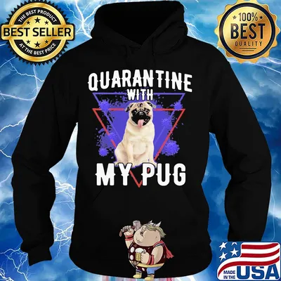 Quarantine with my pug coronavirus s Hoodie