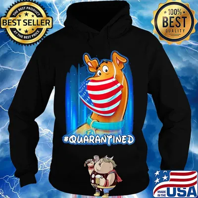 Scooby doo quarantined American flag mask Disney s Hoodie