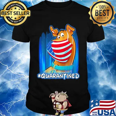 Scooby doo quarantined American flag mask Disney shirt