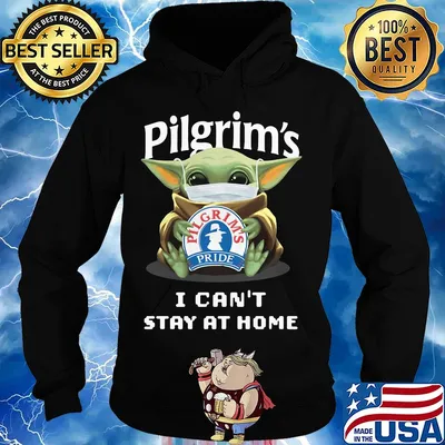 Star wars baby yoda mask hug pilgrims pride i can’t stay at home covid-19 s Hoodie