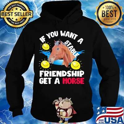 Sun If you want a stable friendship get a horse s Hoodie
