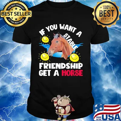 Sun If you want a stable friendship get a horse shirt