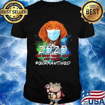 Vizsla 2020 the year when shit got real #quarantined shirt