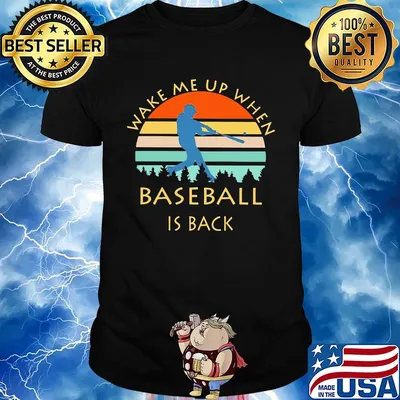 Wake me up when baseball is back vintage shirt