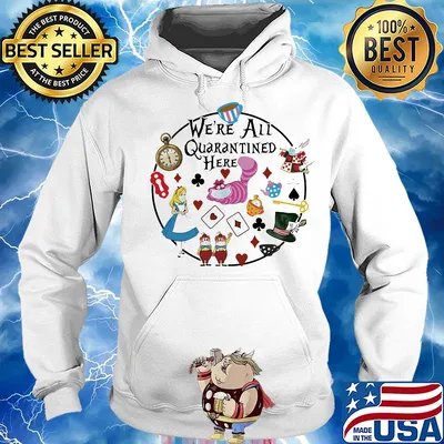 We're all quarantined here Cinderella Disney s Hoodie