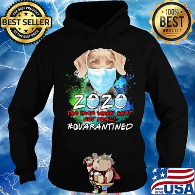 Weimaraner 2020 the year when shit got real #quarantined s Hoodie