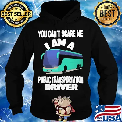 You can't scare me I am a public transportation driver s Hoodie