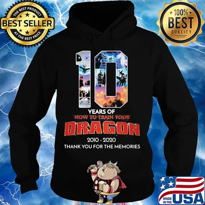 10 years of how to train your dragon movie 2010 2020 thank you for the memories s Hoodie