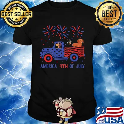 America 4th of July car dog American flag veteran Independence Day shirt