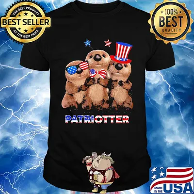 America Flag Patriotter Independence day shirt