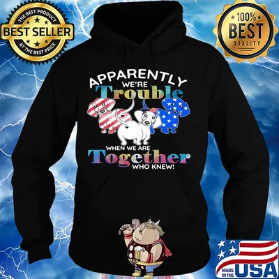 Apparently we're trouble Dachshund American flag veteran Independence Day s Hoodie