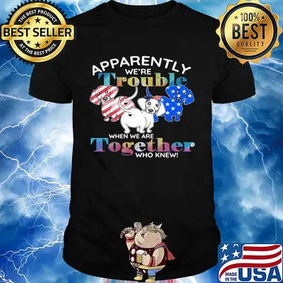 Apparently we're trouble Dachshund American flag veteran Independence Day shirt