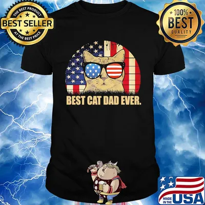 Best cat dad ever American flag veteran Independence Day vintage shirt