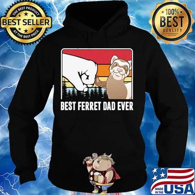 Best ferret dad ever happy father's day vintage s Hoodie