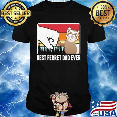 Best ferret dad ever happy father's day vintage shirt