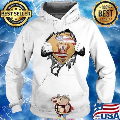 Blood insides superman golden retriever american flag independence day s Hoodie