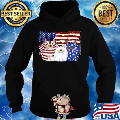 Cat 2 flag US American flag Independence Day veteran s Hoodie