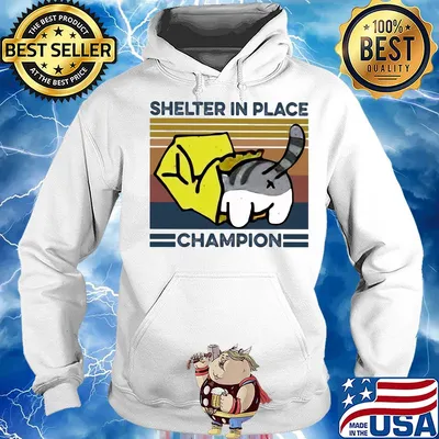 Cat shelter in place champion vintage s Hoodie