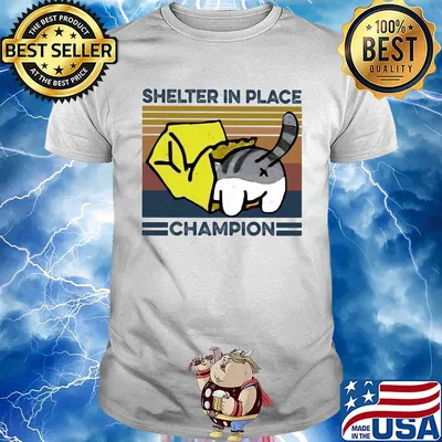 Cat shelter in place champion vintage shirt