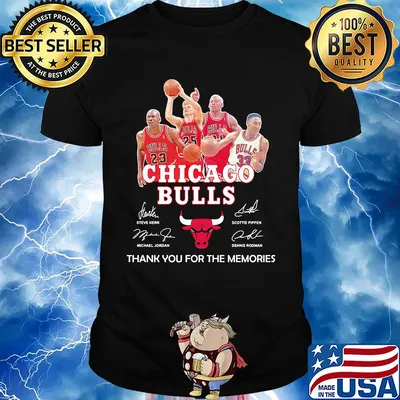 Chicago bulls basketball team thank you for the memories signatures shirt