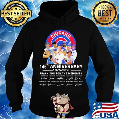 Chicago cubs 145th anniversary 1875 2020 thank you for the memories signatures s Hoodie