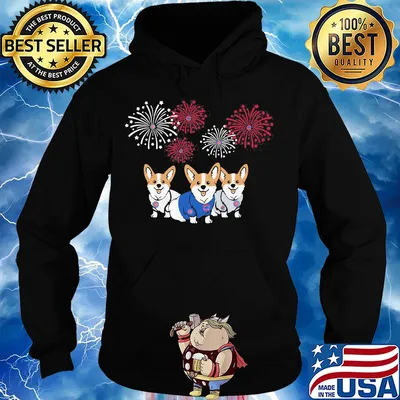 Corgi chicago cubs baseball firework independence day s Hoodie