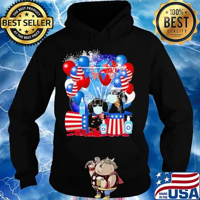Dachshund mask happy American flag veteran Independence Day s Hoodie