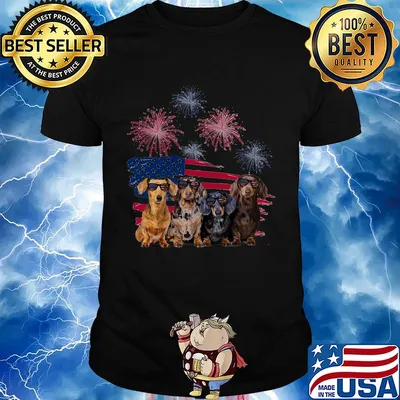 Dachshunds firework american flag independence day shirt
