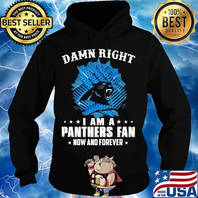 Damn right I am a panthers fan now and forever s Hoodie