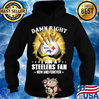 Damn right i am a steelers fan now and forever stars s Hoodie