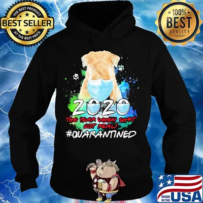 Dog mask 2020 the year when shit got real quarantined toilet paper s Hoodie