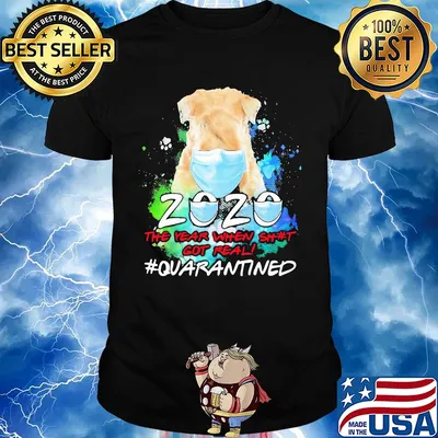 Dog mask 2020 the year when shit got real quarantined toilet paper shirt