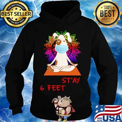 Dog yoga chill stay 6 feet mask covid-19 s Hoodie